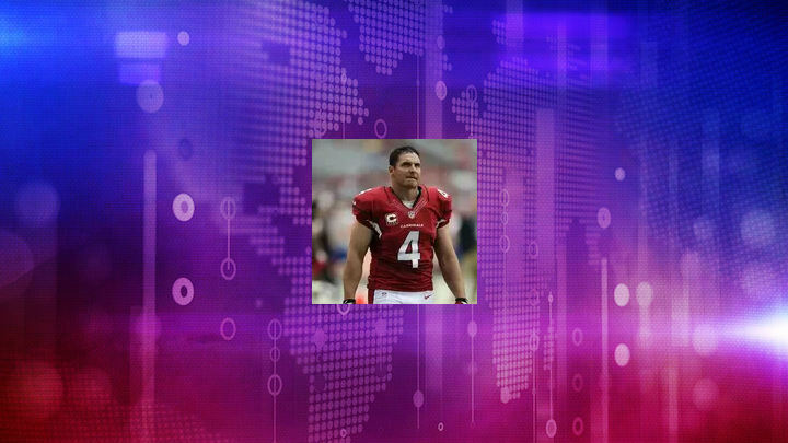 Discover the 12 Colorful Jay Species of North America