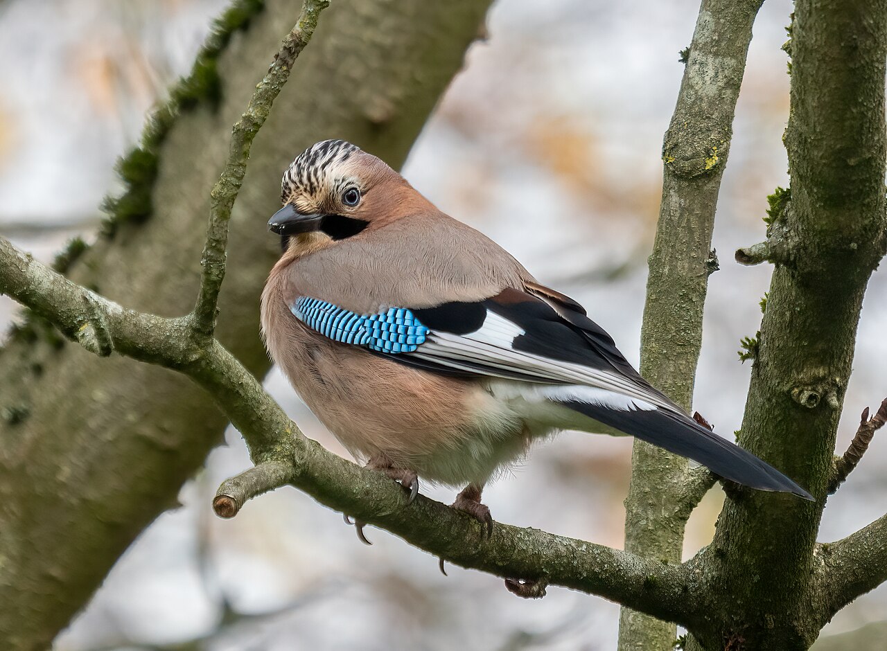 Jay-Z's GQ Interview: Drake, Blue Ivy, and Capitalism